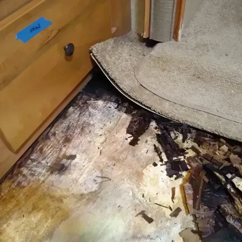 Wood Floor Water Damage in Kremmling, CO